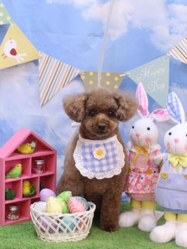 20240310ココアくん